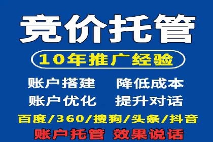 SEM托管实战：某电商平台的成功经验